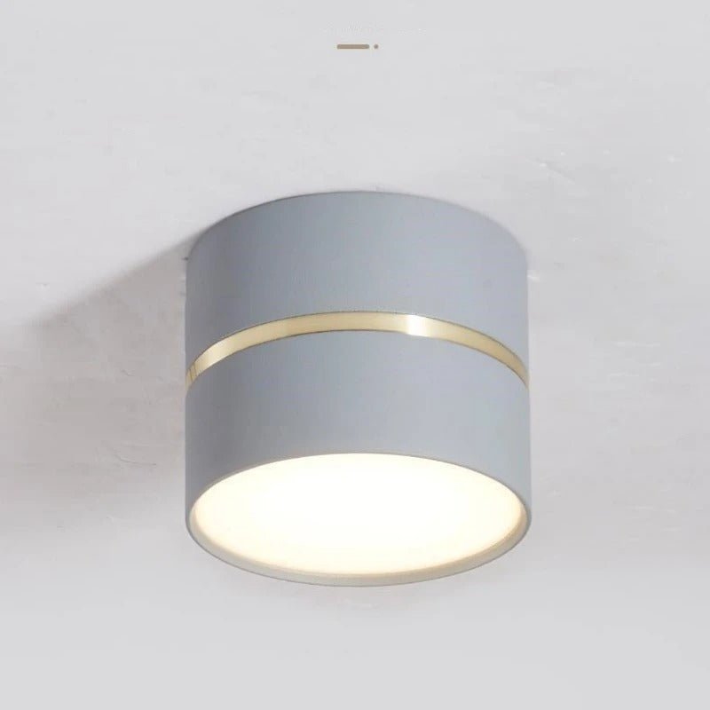 LED Ceiling Spotlight Adjustable Direction Aluminum Ceiling Light