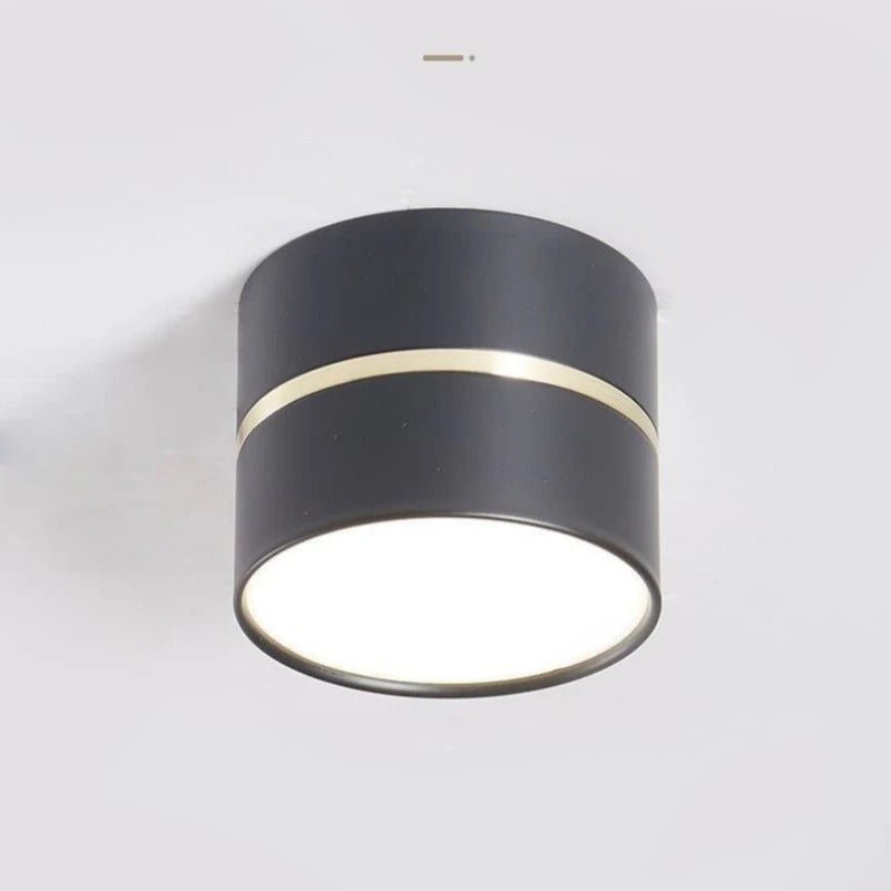 LED Ceiling Spotlight Adjustable Direction Aluminum Ceiling Light