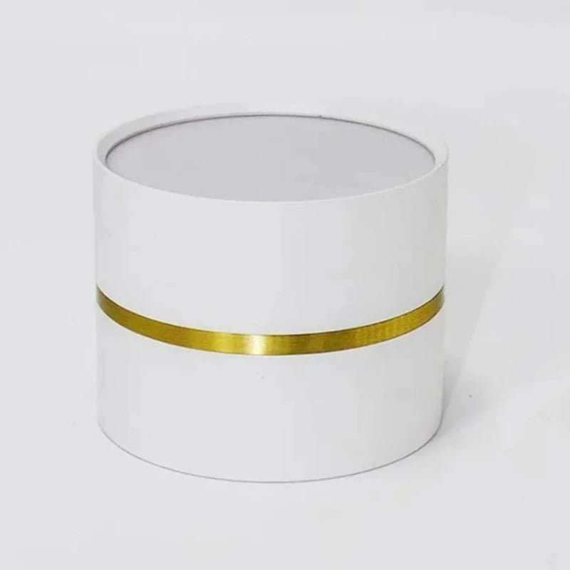 LED Ceiling Spotlight Adjustable Direction Aluminum Ceiling Light