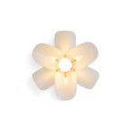 Acrylic Petal Wall & Ceiling Sconce