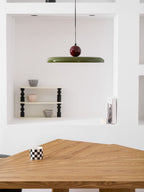 Modern Disc LED Plug-in Pendant Light 1-Light