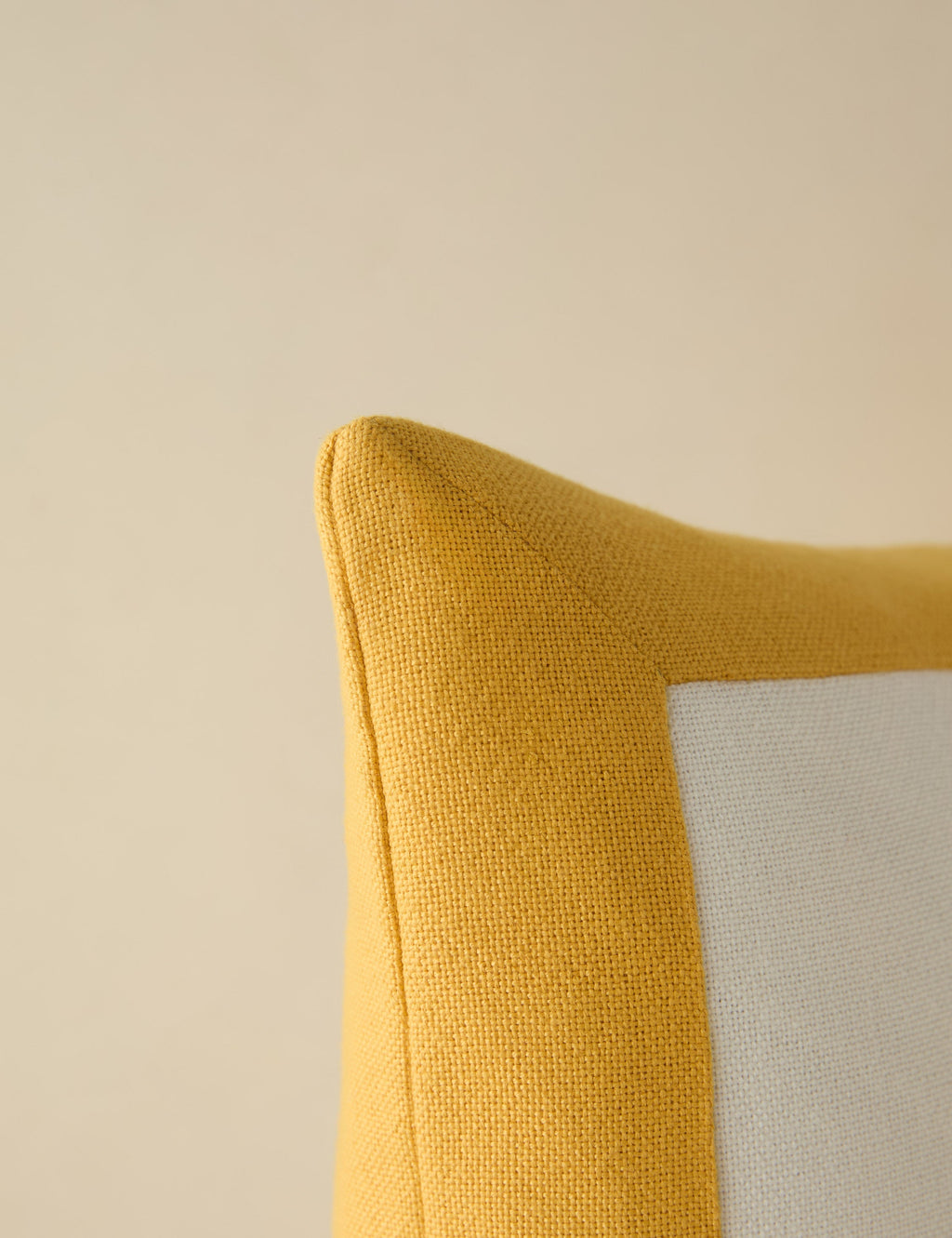 Amica Outdoor Pillow | Colorful Border, Antique White Center