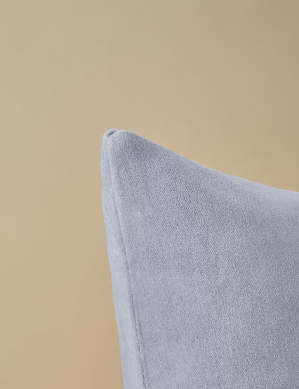 Bela Velvet Pillow | Luxurious Texture, Elegant Finish