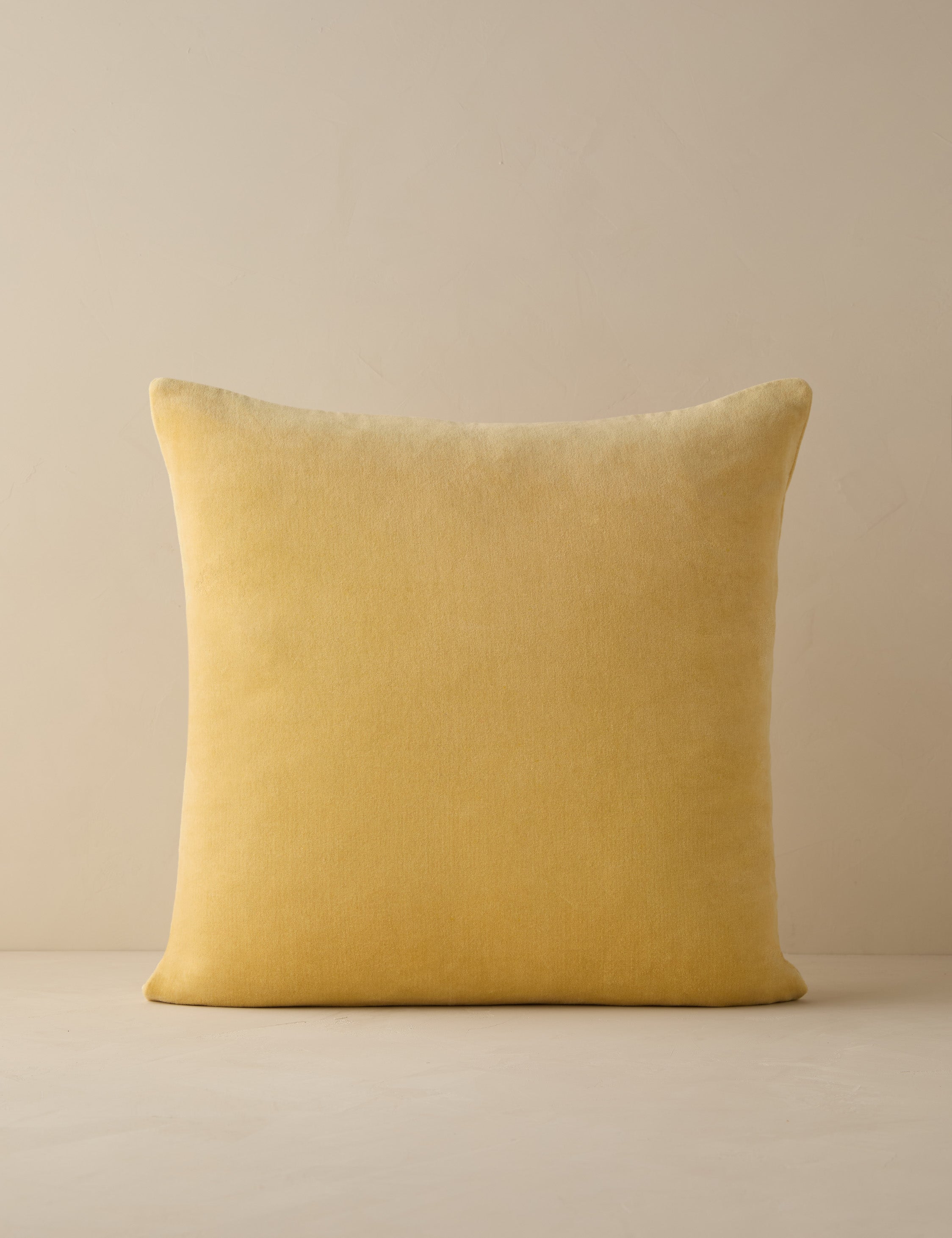 Bela Velvet Pillow | Luxurious Texture, Elegant Finish