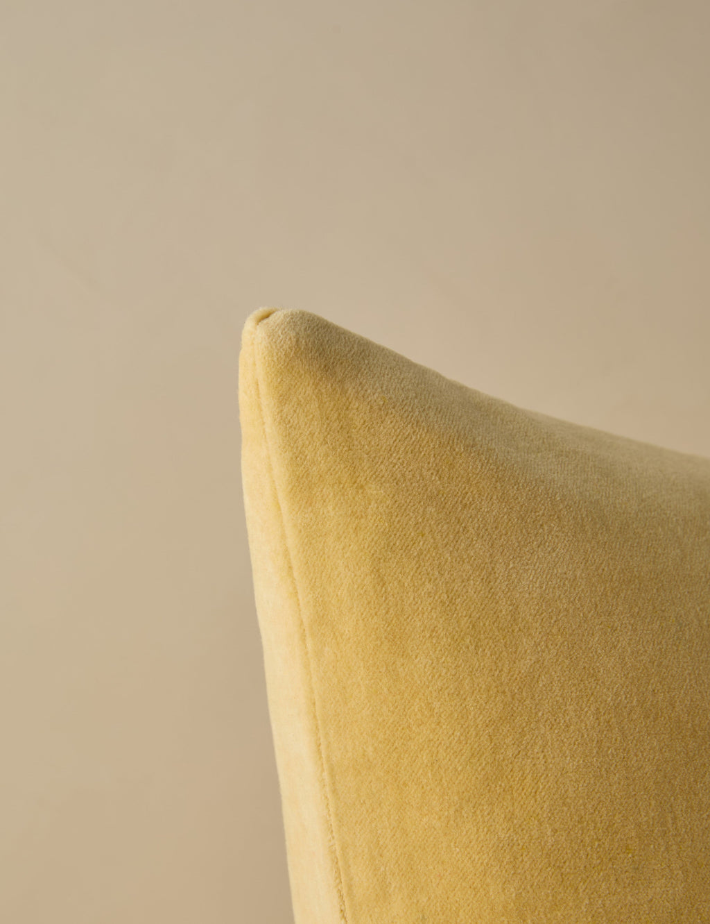 Bela Velvet Pillow | Luxurious Texture, Elegant Finish