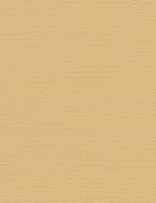 Bela Grasscloth Wallpaper | Woven Texture, Modern Palette