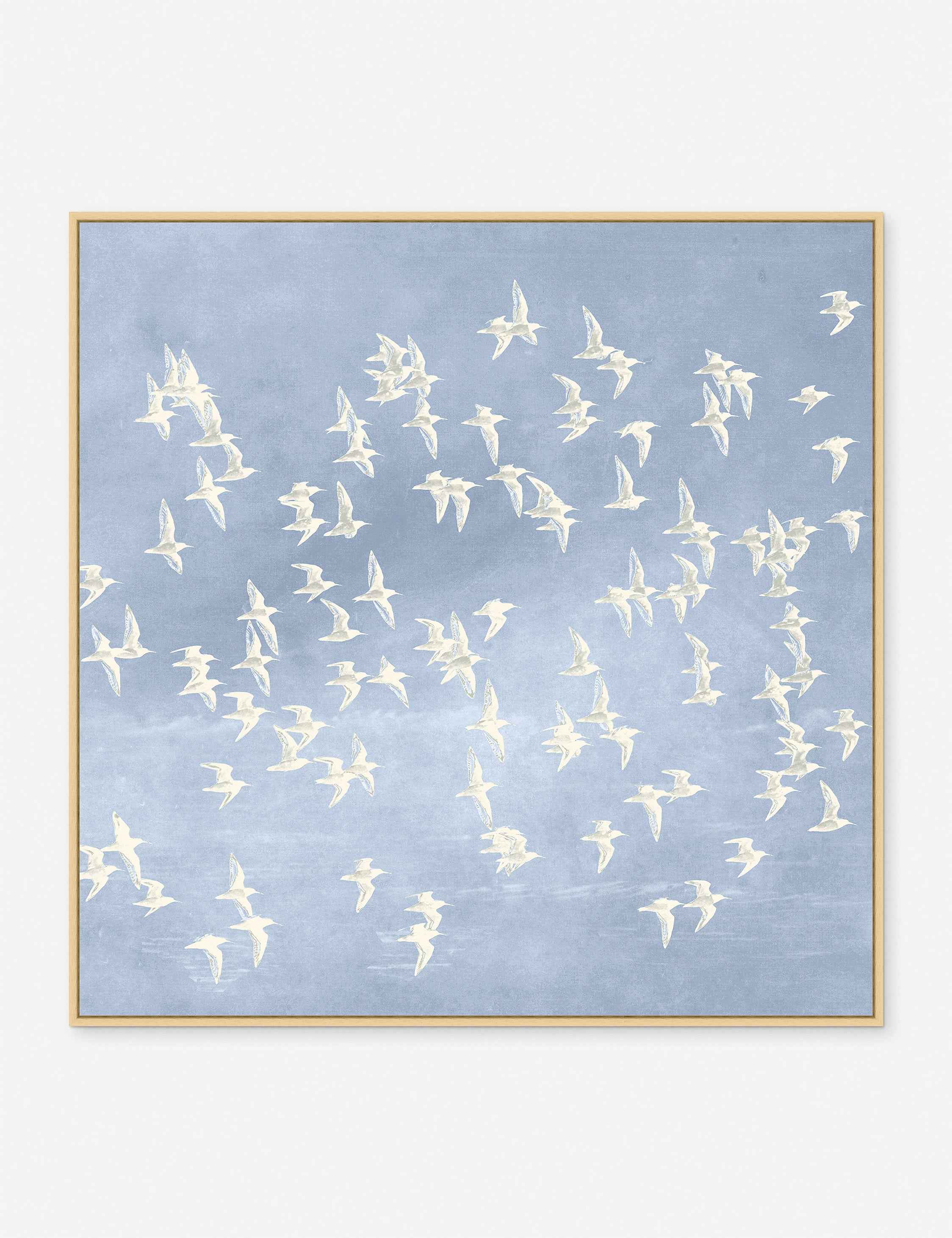 Blue Day Flight 1 Print