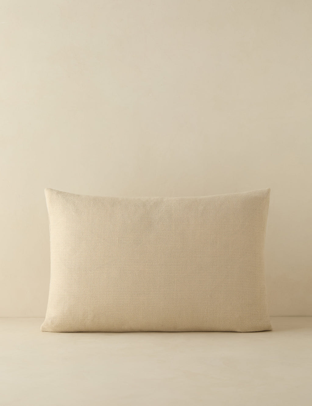 Luna Indoor/Outdoor Pillow | Abstract Minimalist Design, Chic Edge