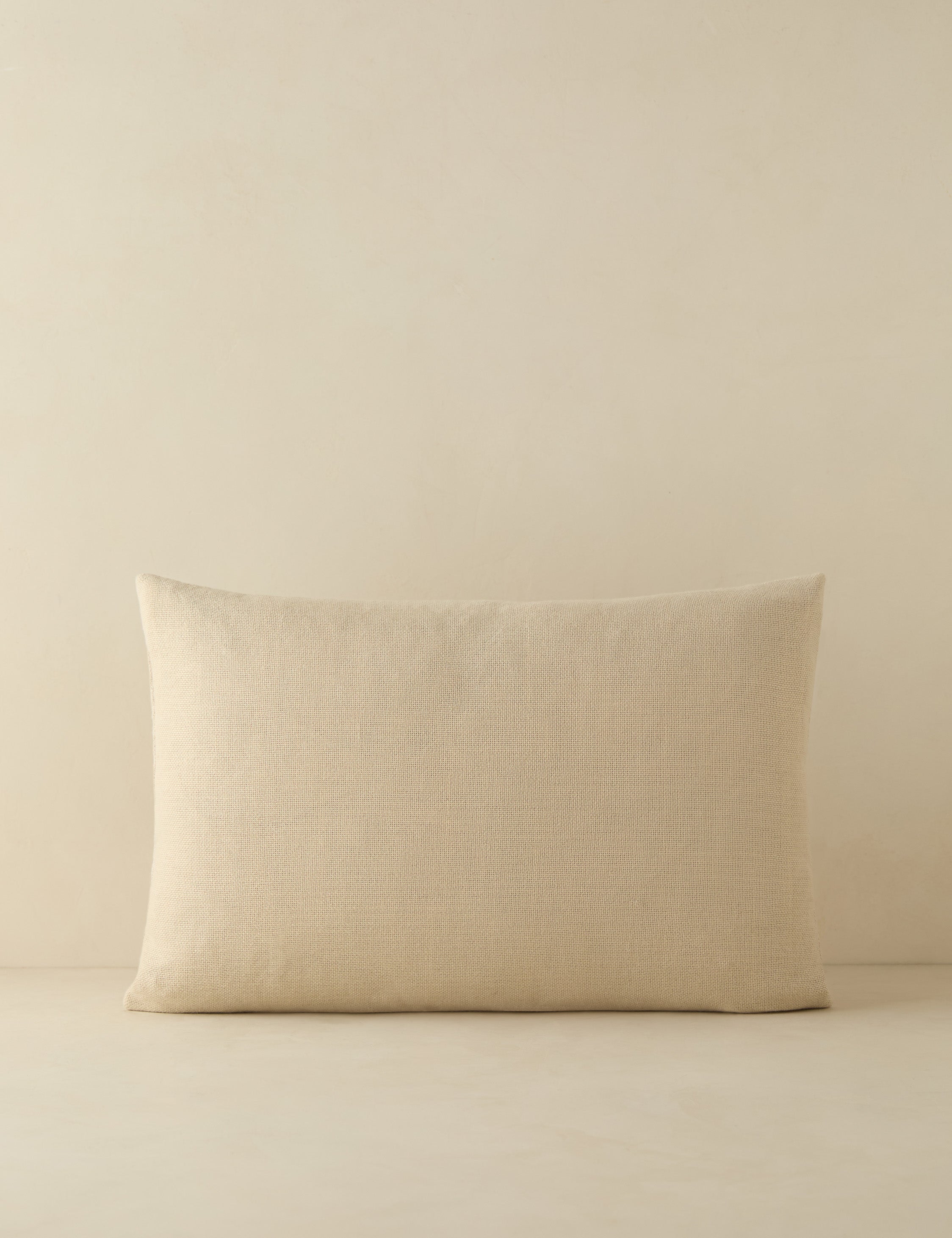 Luna Indoor/Outdoor Pillow | Abstract Minimalist Design, Chic Edge