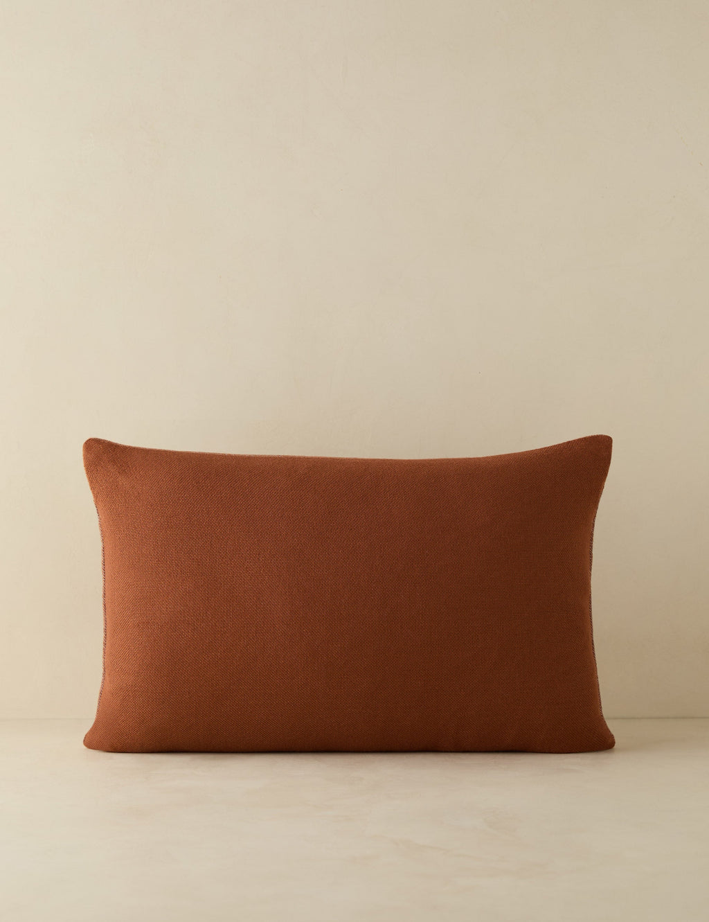 Luna Indoor/Outdoor Pillow | Abstract Minimalist Design, Chic Edge
