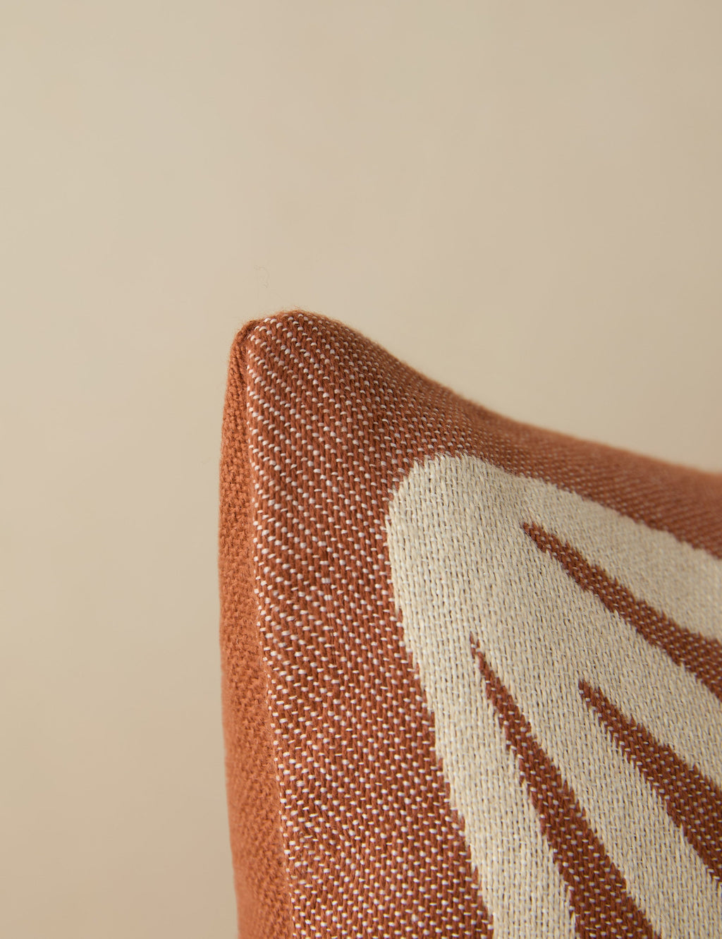 Luna Indoor/Outdoor Pillow | Abstract Minimalist Design, Chic Edge