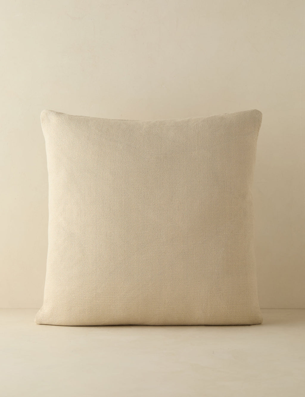 Luna Indoor/Outdoor Pillow | Abstract Minimalist Design, Chic Edge