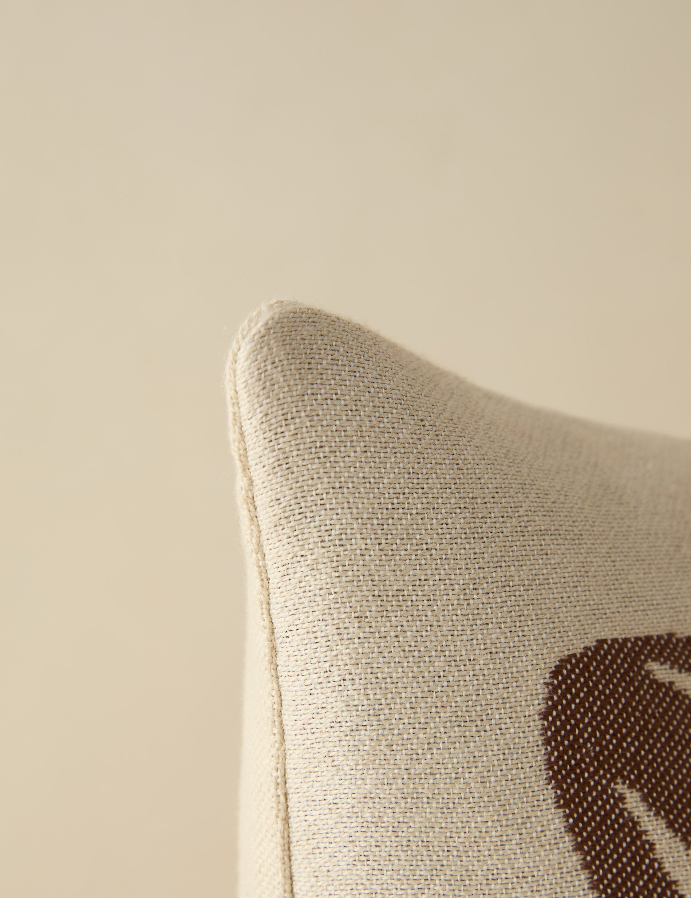 Luna Indoor/Outdoor Pillow | Abstract Minimalist Design, Chic Edge
