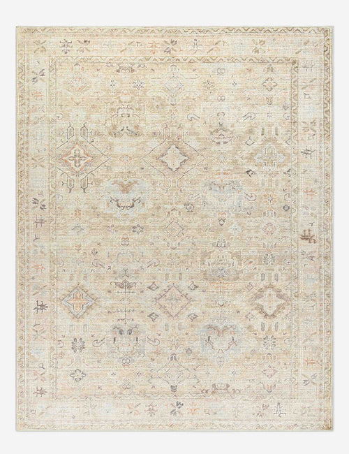 Bela Area Rug | Distressed Motifs, Easy-Care Sophistication