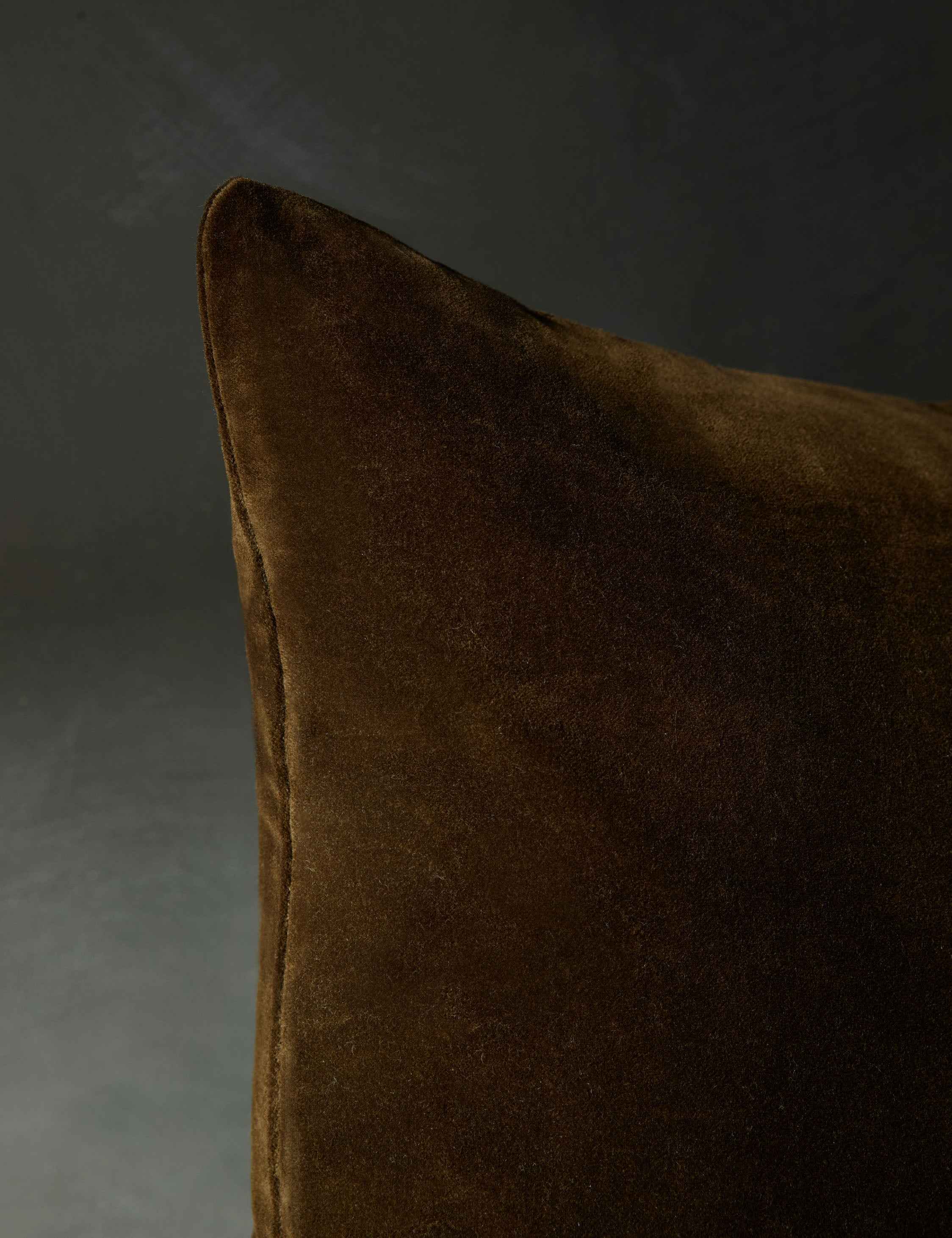 Caden Velvet Pillow | Luxe Texture, Whip Stitching Detail