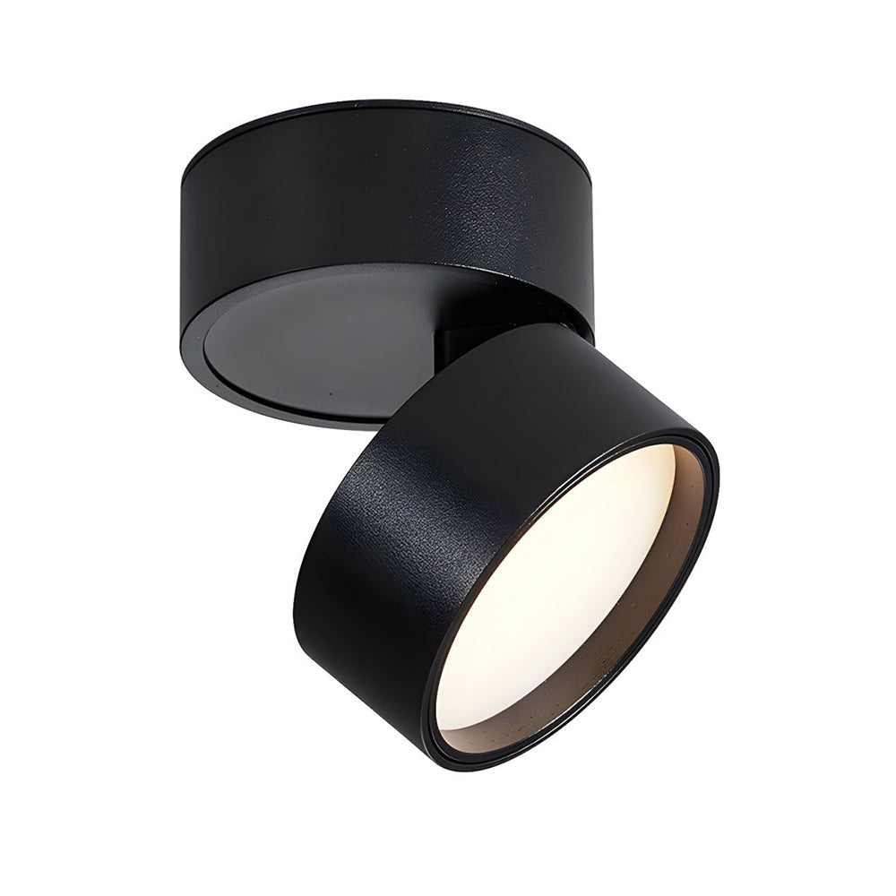 LumenFlex: Small LED Ceiling Light Aluminum Modern – Adjustable & Functional for Living Room & Bedroom