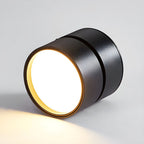LumenFlex: Small LED Ceiling Light Aluminum Modern – Adjustable & Functional for Living Room & Bedroom