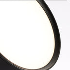 LumenFlex: Small LED Ceiling Light Aluminum Modern – Adjustable & Functional for Living Room & Bedroom