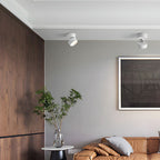 LumenFlex: Small LED Ceiling Light Aluminum Modern – Adjustable & Functional for Living Room & Bedroom