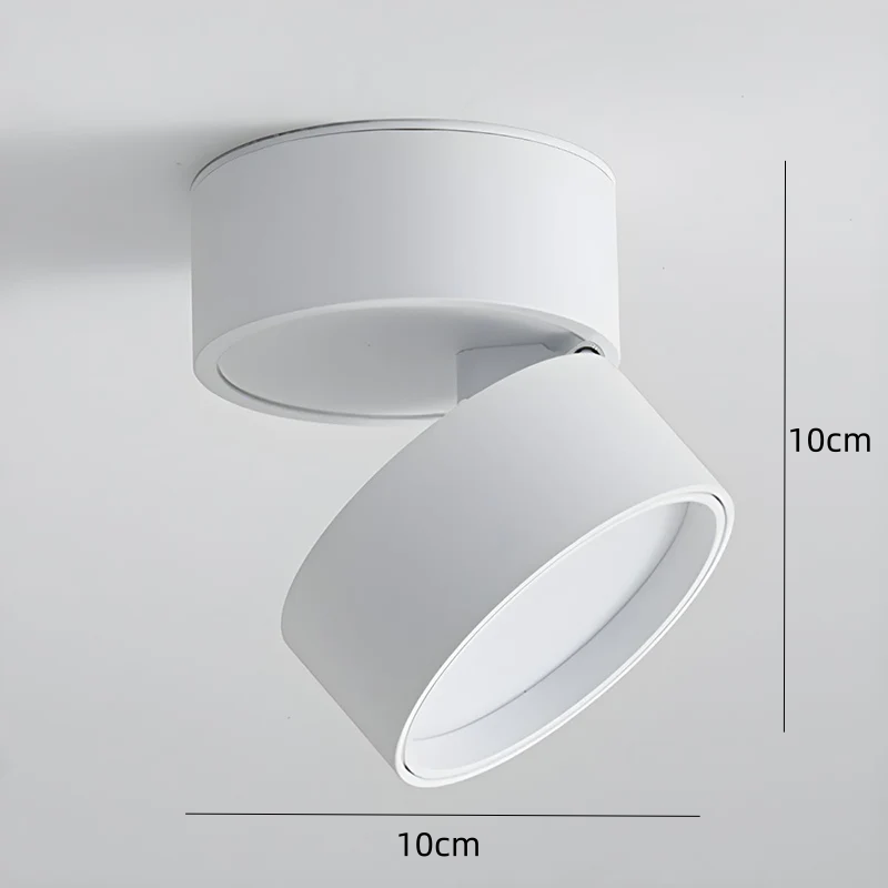 LumenFlex: Small LED Ceiling Light Aluminum Modern – Adjustable & Functional for Living Room & Bedroom