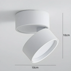 LumenFlex: Small LED Ceiling Light Aluminum Modern – Adjustable & Functional for Living Room & Bedroom
