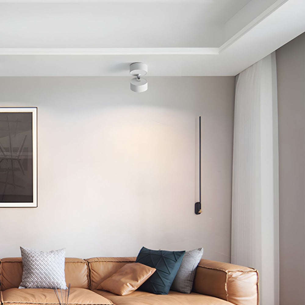 LumenFlex: Small LED Ceiling Light Aluminum Modern – Adjustable & Functional for Living Room & Bedroom