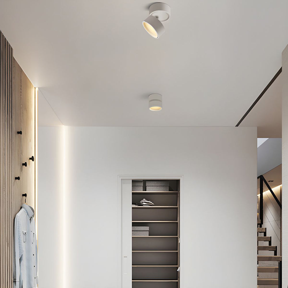 LumenFlex: Small LED Ceiling Light Aluminum Modern – Adjustable & Functional for Living Room & Bedroom