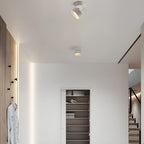 LumenFlex: Small LED Ceiling Light Aluminum Modern – Adjustable & Functional for Living Room & Bedroom