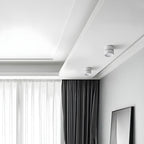 LumenFlex: Small LED Ceiling Light Aluminum Modern – Adjustable & Functional for Living Room & Bedroom
