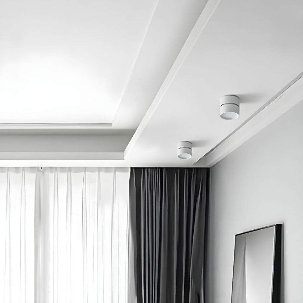 LumenFlex: Small LED Ceiling Light Aluminum Modern – Adjustable & Functional for Living Room & Bedroom