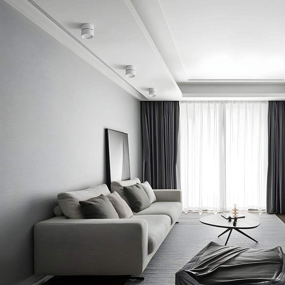LumenFlex: Small LED Ceiling Light Aluminum Modern – Adjustable & Functional for Living Room & Bedroom
