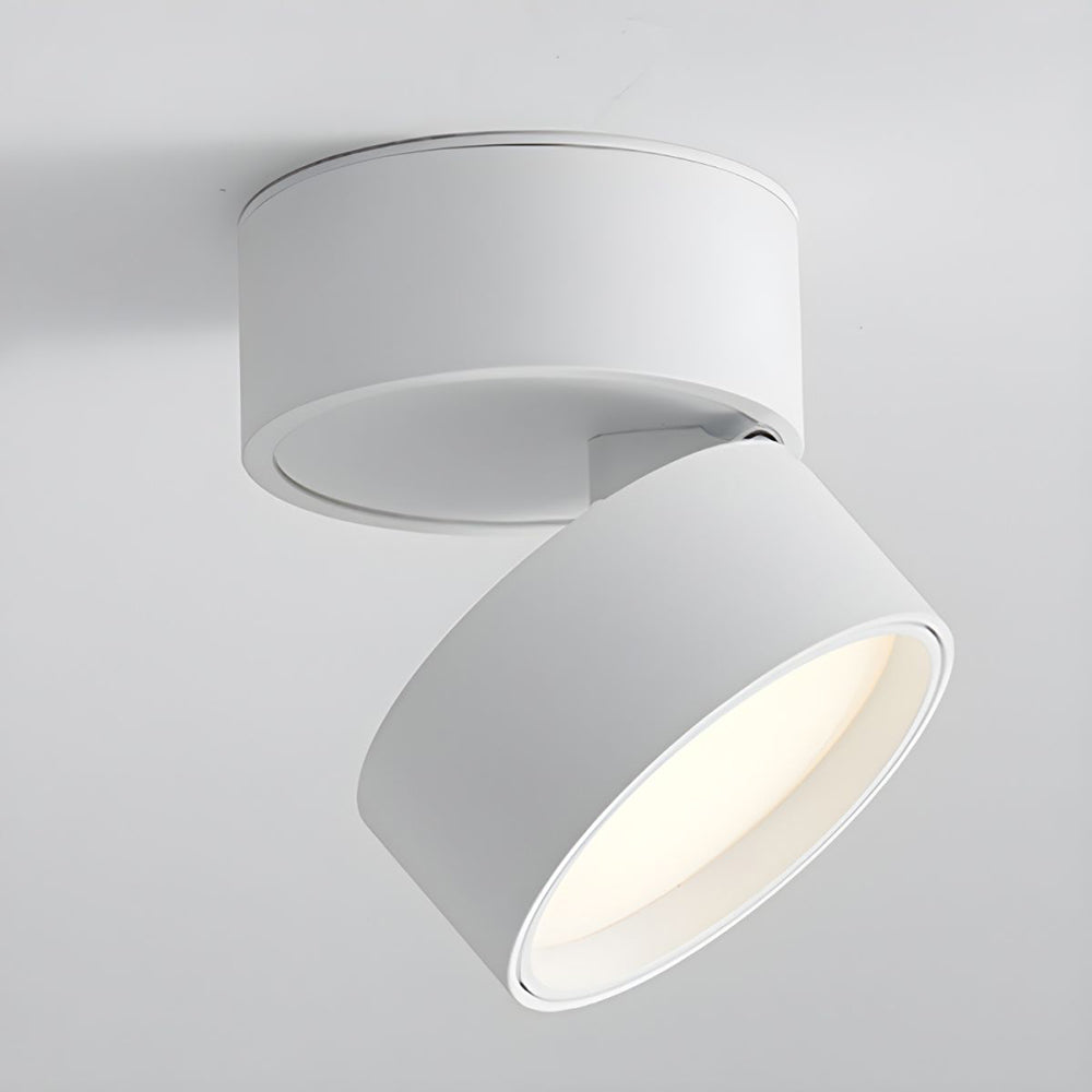 LumenFlex: Small LED Ceiling Light Aluminum Modern – Adjustable & Functional for Living Room & Bedroom