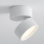 LumenFlex: Small LED Ceiling Light Aluminum Modern – Adjustable & Functional for Living Room & Bedroom