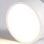 LumenFlex: Small LED Ceiling Light Aluminum Modern – Adjustable & Functional for Living Room & Bedroom
