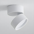 LumenFlex: Small LED Ceiling Light Aluminum Modern – Adjustable & Functional for Living Room & Bedroom