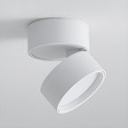 LumenFlex: Small LED Ceiling Light Aluminum Modern – Adjustable & Functional for Living Room & Bedroom