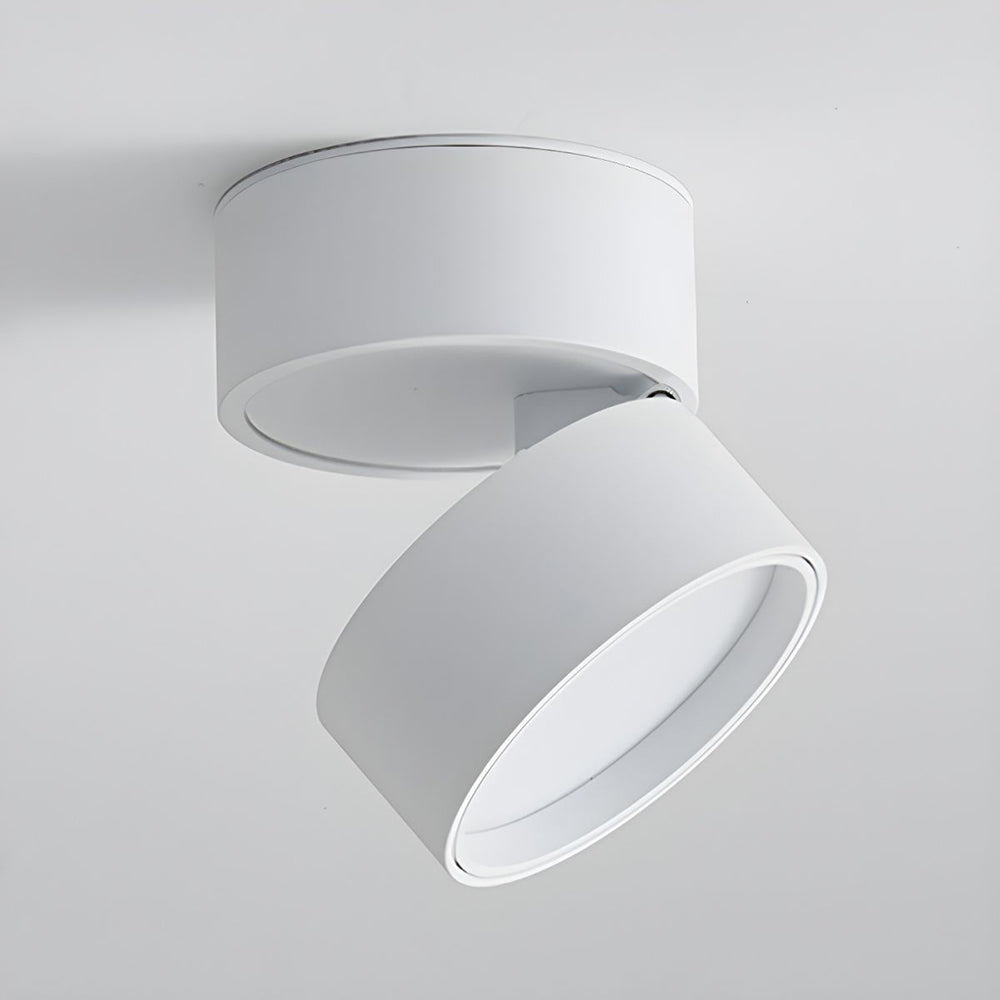 LumenFlex: Small LED Ceiling Light Aluminum Modern – Adjustable & Functional for Living Room & Bedroom