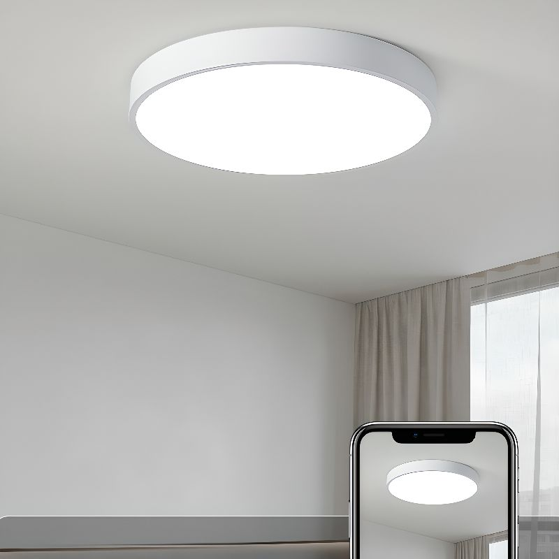 LumiDisc: Round LED Ceiling Light – Flat Surface-Mounted Lamp in Modern Design