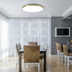 LumiÉpure: Round LED Ceiling Light Minimalistic – Modern & Energy-Saving for Living Room & Bedroom