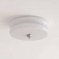 Molded Glass Dome LED Semi-Flush Ceiling Light