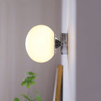Frosted Glass Diffuser Metal Wall Sconce