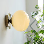 Frosted Glass Diffuser Metal Wall Sconce