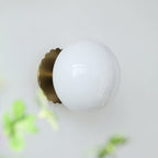 Frosted Glass Diffuser Metal Wall Sconce