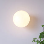 Frosted Glass Diffuser Metal Wall Sconce
