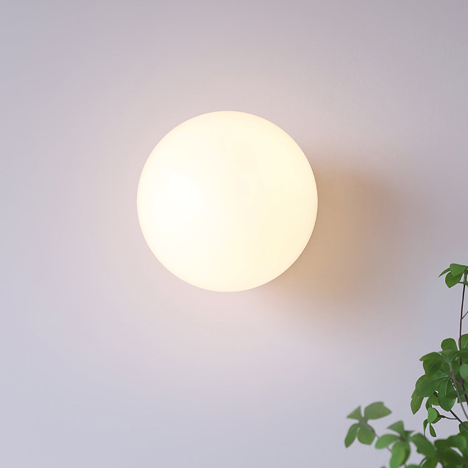 Frosted Glass Diffuser Metal Wall Sconce