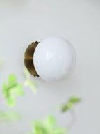 Vintage Brass Globe Glass Wall Sconce 1-Light