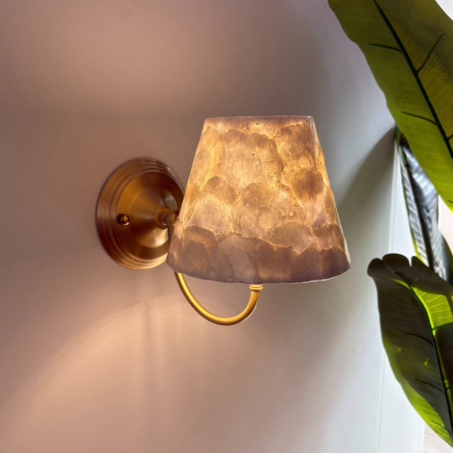 Mira Natural Shell & Brass Wall Sconce