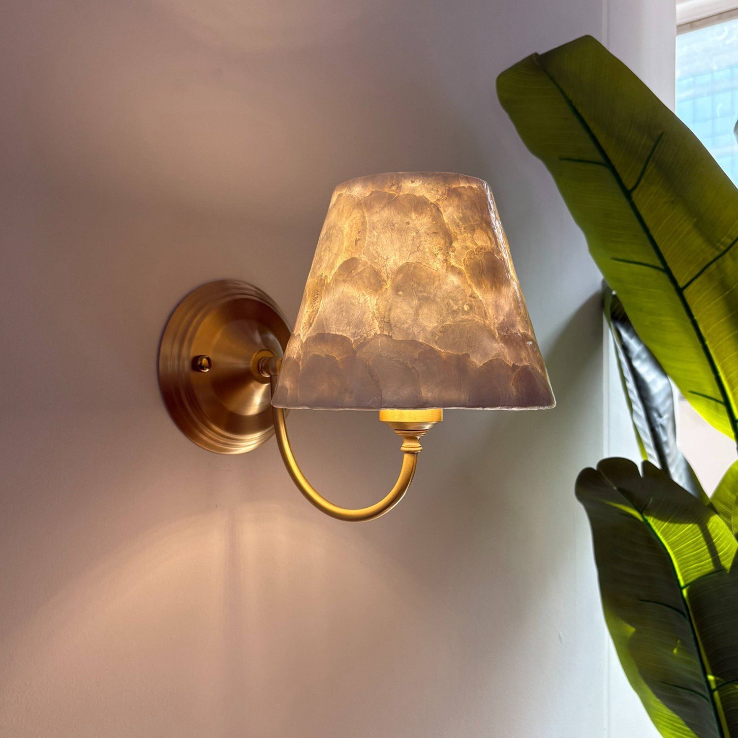 Mira Natural Shell & Brass Wall Sconce