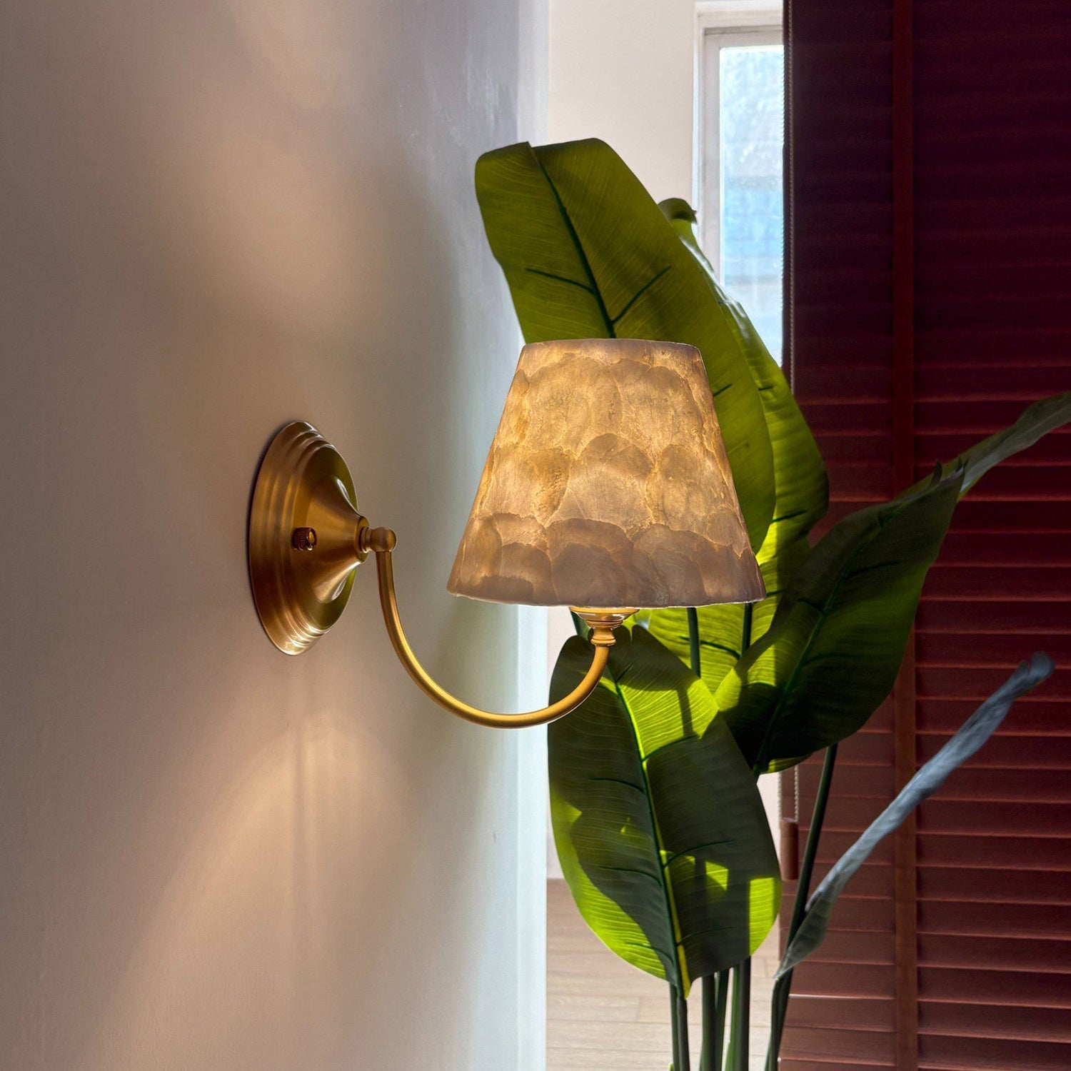 Mira Natural Shell & Brass Wall Sconce