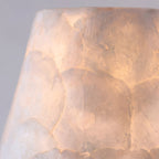 Mira Natural Shell & Brass Wall Sconce